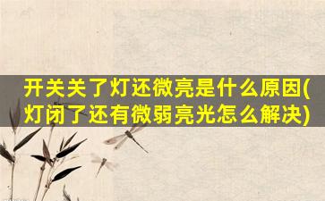开关关了灯还微亮是什么原因(灯闭了还有微弱亮光怎么解决)