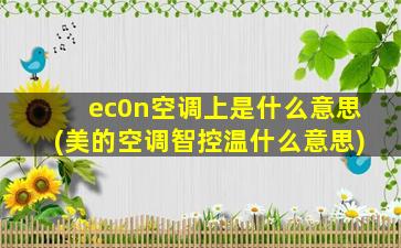 ec0n空调上是什么意思(美的空调智控温什么意思)