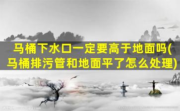 马桶下水口一定要高于地面吗(马桶排污管和地面平了怎么处理)