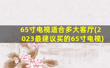 65寸电视适合多大客厅(2023最建议买的65寸电视)