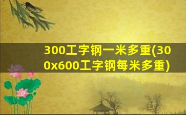 300工字钢一米多重(300x600工字钢每米多重)