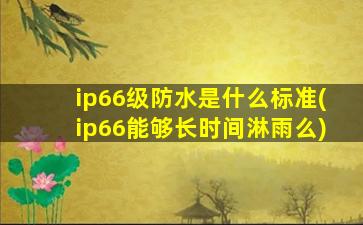 ip66级防水是什么标准(ip66能够长时间淋雨么)