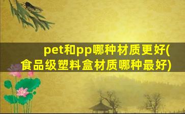 pet和pp哪种材质更好(食品级塑料盒材质哪种最好)