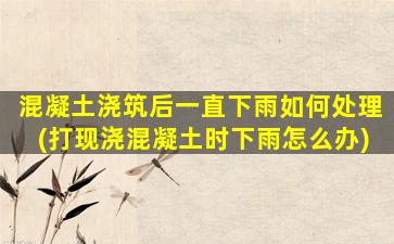 混凝土浇筑后一直下雨如何处理(打现浇混凝土时下雨怎么办)