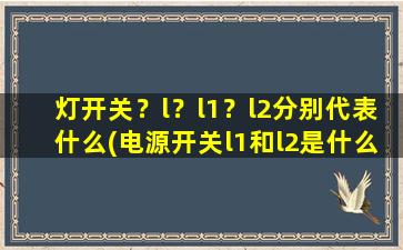 灯开关？l？l1？l2分别代表什么(电源开关l1和l2是什么意思)