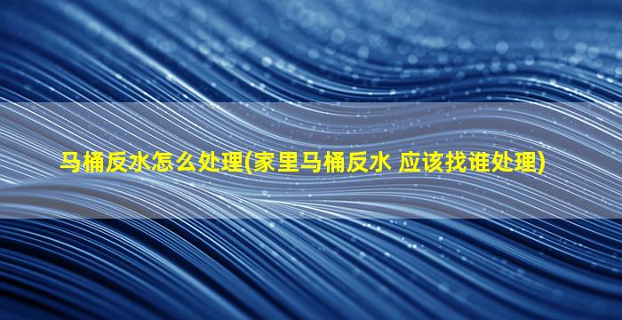 马桶反水怎么处理(家里马桶反水 应该找谁处理)