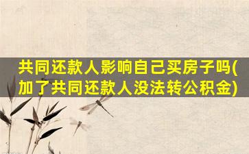 共同还款人影响自己买房子吗(加了共同还款人没法转公积金)