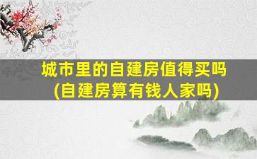 城市里的自建房值得买吗(自建房算有钱人家吗)