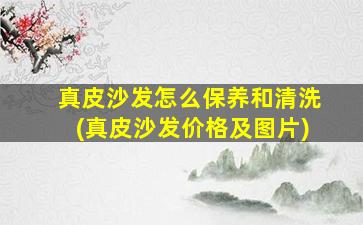 真皮沙发怎么保养和清洗(真皮沙发价格及图片)