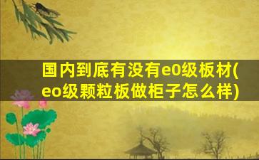 国内到底有没有e0级板材(eo级颗粒板做柜子怎么样)