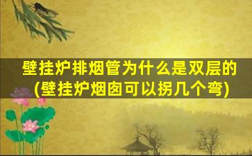 壁挂炉排烟管为什么是双层的(壁挂炉烟囱可以拐几个弯)