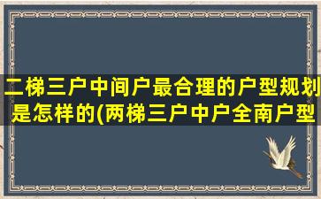 二梯三户中间户最合理的户型规划是怎样的(两梯三户中户全南户型能要吗)