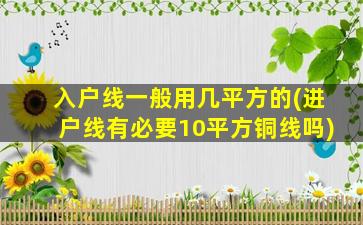 入户线一般用几平方的(进户线有必要10平方铜线吗)
