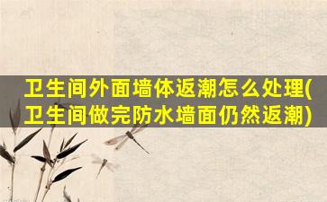 卫生间外面墙体返潮怎么处理(卫生间做完防水墙面仍然返潮)