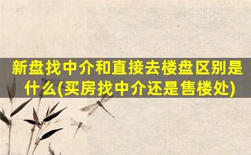 新盘找中介和直接去楼盘区别是什么(买房找中介还是售楼处)