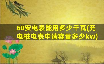 60安电表能用多少千瓦(充电桩电表申请容量多少kw)