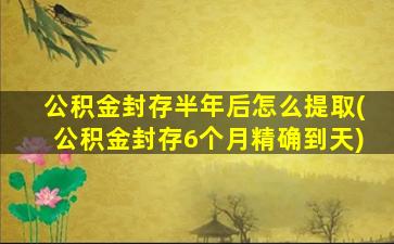 公积金封存半年后怎么提取(公积金封存6个月精确到天)