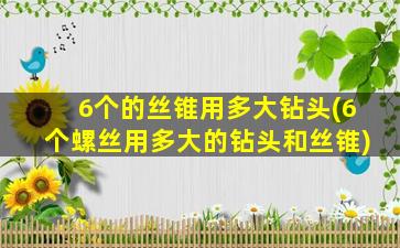 6个的丝锥用多大钻头(6个螺丝用多大的钻头和丝锥)