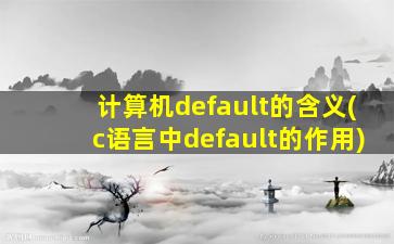 计算机default的含义(c语言中default的作用)