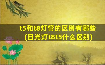 t5和t8灯管的区别有哪些(日光灯t8t5什么区别)