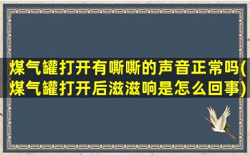 煤气罐打开有嘶嘶的声音正常吗(煤气罐打开后滋滋响是怎么回事)