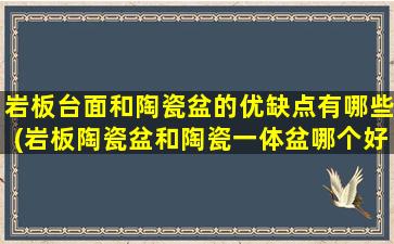 岩板台面和陶瓷盆的优缺点有哪些(岩板陶瓷盆和陶瓷一体盆哪个好)