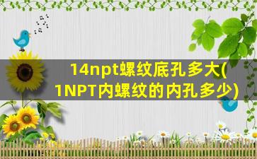 14npt螺纹底孔多大(1NPT内螺纹的内孔多少)