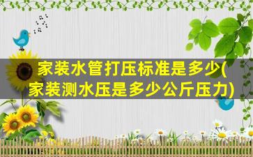 家装水管打压标准是多少(家装测水压是多少公斤压力)