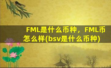 FML是什么币种，FML币怎么样(bsv是什么币种)