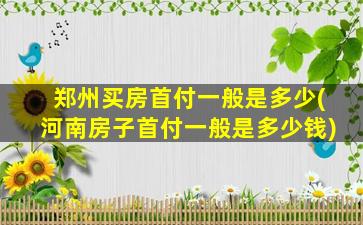 郑州买房首付一般是多少(河南房子首付一般是多少钱)