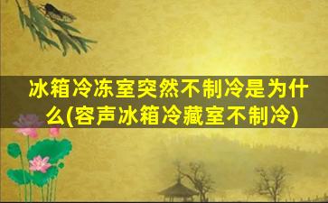 冰箱冷冻室突然不制冷是为什么(容声冰箱冷藏室不制冷)