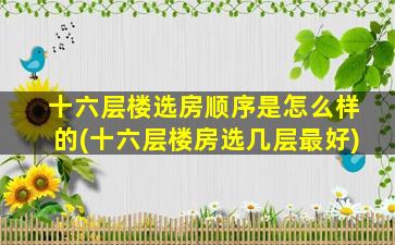 十六层楼选房顺序是怎么样的(十六层楼房选几层最好)