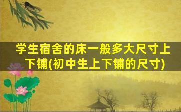 学生宿舍的床一般多大尺寸上下铺(初中生上下铺的尺寸)