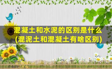 混凝土和水泥的区别是什么(混泥土和混凝土有啥区别)