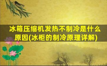 冰箱压缩机发热不制冷是什么原因(冰柜的制冷原理详解)