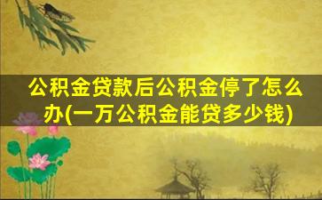 公积金贷款后公积金停了怎么办(一万公积金能贷多少钱)