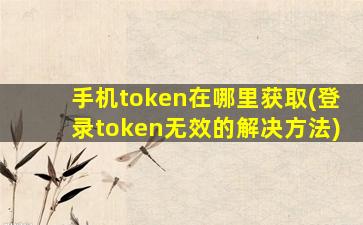 手机token在哪里获取(登录token无效的解决方法)