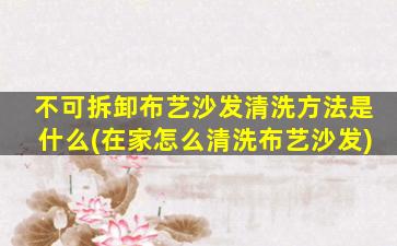 不可拆卸布艺沙发清洗方法是什么(在家怎么清洗布艺沙发)