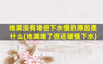 地漏没有堵但下水慢的原因是什么(地漏堵了但还缓慢下水)