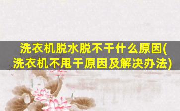 洗衣机脱水脱不干什么原因(洗衣机不甩干原因及解决办法)