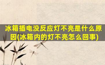 冰箱插电没反应灯不亮是什么原因(冰箱内的灯不亮怎么回事)