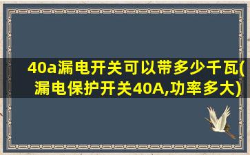 40a漏电开关可以带多少千瓦(漏电保护开关40A,功率多大)