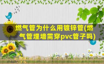 燃气管为什么用镀锌管(燃气管埋墙需穿pvc管子吗)