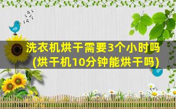 洗衣机烘干需要3个小时吗(烘干机10分钟能烘干吗)