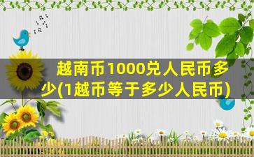 越南币1000兑人民币多少(1越币等于多少人民币)