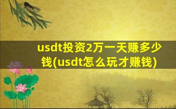 usdt投资2万一天赚多少钱(usdt怎么玩才赚钱)