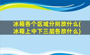 冰箱各个区域分别放什么(冰箱上中下三层各放什么)