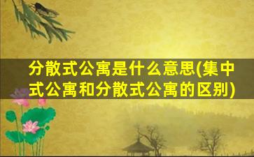 分散式公寓是什么意思(集中式公寓和分散式公寓的区别)