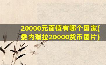 20000元面值有哪个国家(委内瑞拉20000货币图片)