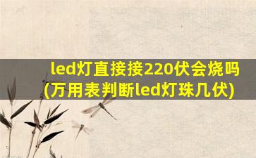 led灯直接接220伏会烧吗(万用表判断led灯珠几伏)